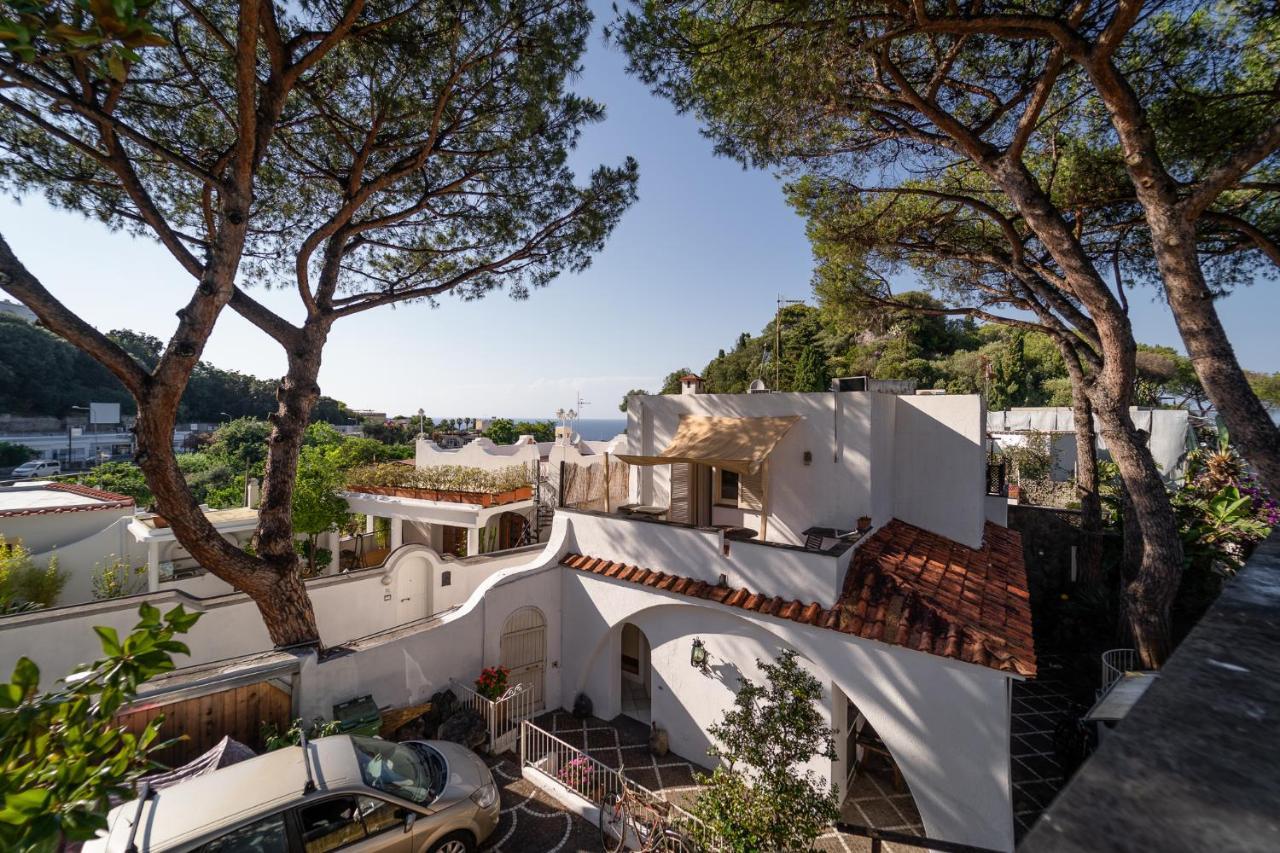 Villa Cinque Pini Casamicciola Terme Zewnętrze zdjęcie