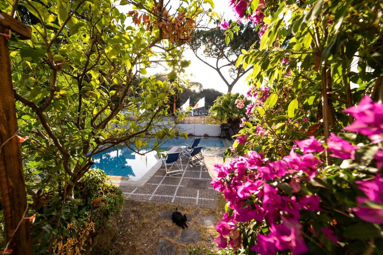 Villa Cinque Pini Casamicciola Terme Zewnętrze zdjęcie