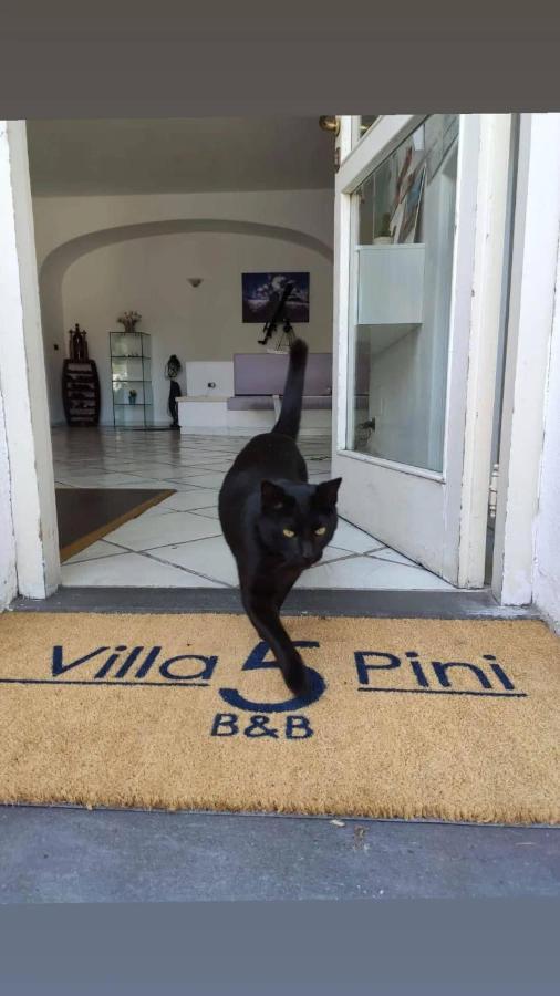 Villa Cinque Pini Casamicciola Terme Zewnętrze zdjęcie