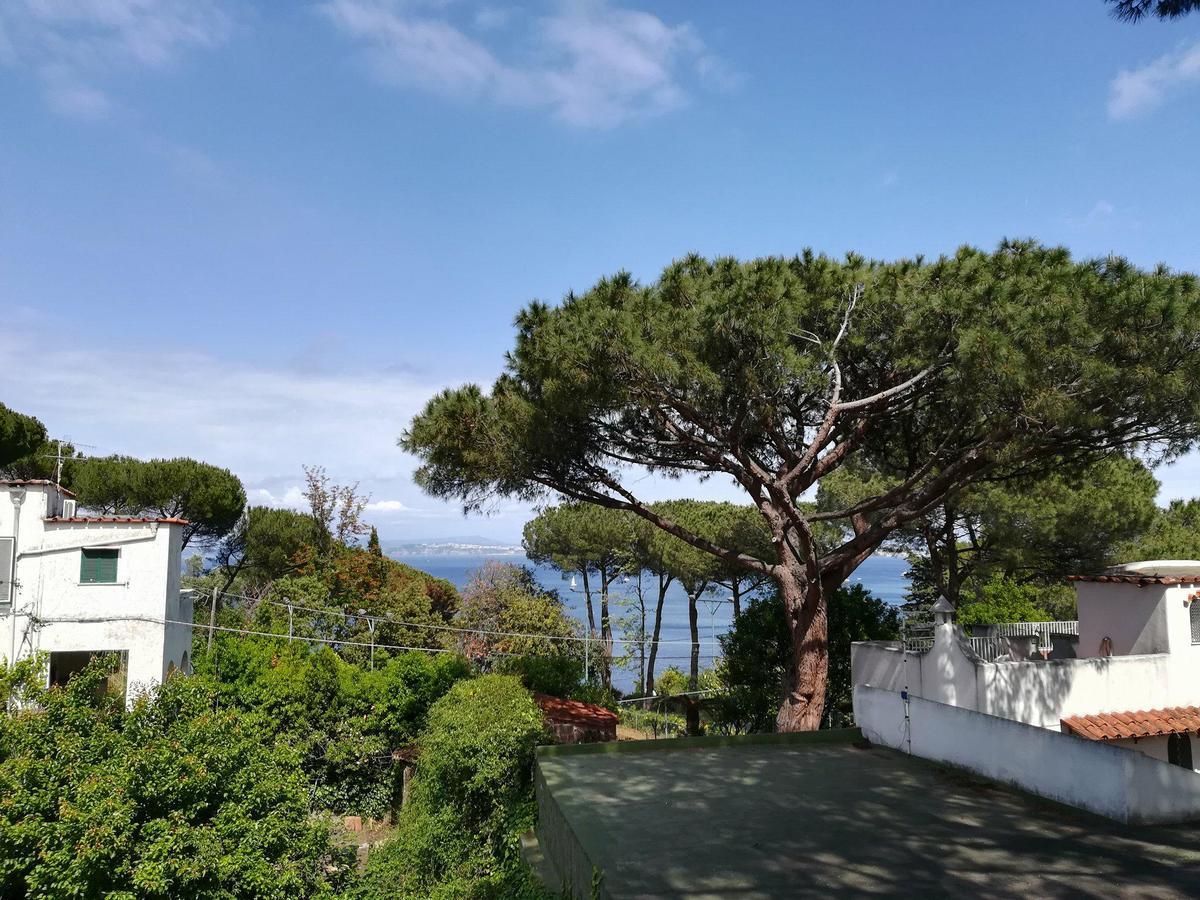 Villa Cinque Pini Casamicciola Terme Zewnętrze zdjęcie